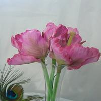 fancy tulips in a vase