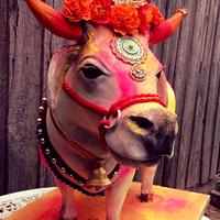 Holi Hindu cow