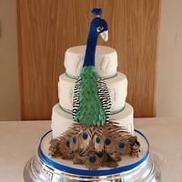 Paddy the Peacock Wedding Cake