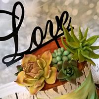 succulents with love