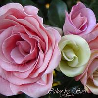 My fascination with Roses