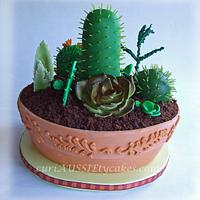 Cactus / Succulant plant cake