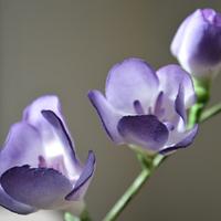 Lilac freesia spray