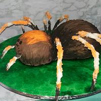 Spider Cake