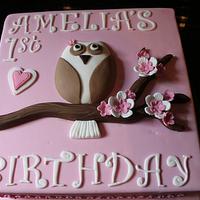 Amelia's Owl 1st Birthday Cake