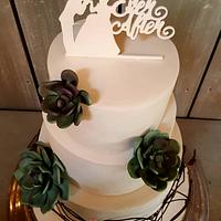 Shane and Melissa - Succulent Wedding Cake