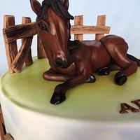 Horse birthday cake 