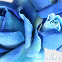  Blue roses