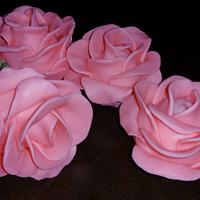 Strawberry Roses Strawberry Roses
