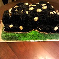 Black Puppy Cake  w/ White Spots.