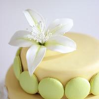 Limelite! A Two tier cake adorned with beautiful macarons and flower paste bombax flower
