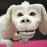 Falkor - The neverending Story - Best in Show - Kuchenmesse Wels Austria 2017 