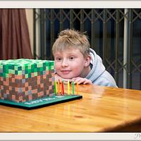 Minecraft Cake