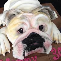 Bulldog cake 