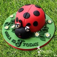Ladybird 3rd birthday cake