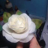 white Rose 
