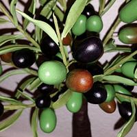 Gumpaste Olive-Tree