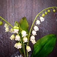 lily of the valley flowers