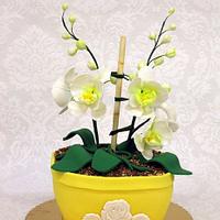 Orchid pot cake