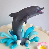 Dolphin Ombre Cake