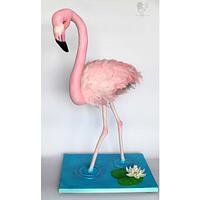 Let's Flamingle Let's Flamingle
