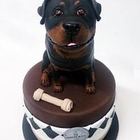 Rottweiler Cake