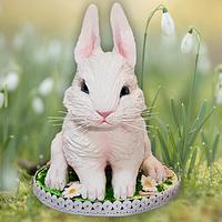Easter rabbit 