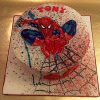 Hand Painted Spider-man