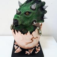Baby Triceratops 
