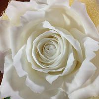 Another white icing rose