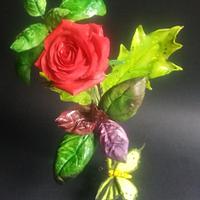 baccarà red rose , basil green and violet, ornamental leaves