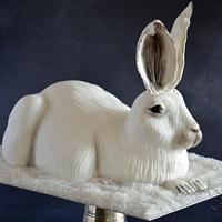 Arctic/snowshoe hare cake 