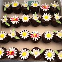 Edelweiss and Daisy Cupcakes