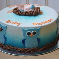 Owl theme baby shower cake 