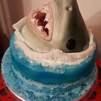 10th Birthday Shark Cake