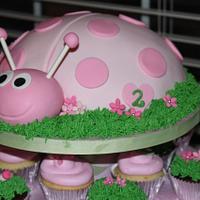 Ladybug Cake and cupcakes