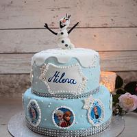 Frozen Cake