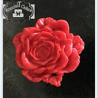 Red Roses Valentines Day  Collaboration, Bon Jovi - Always.