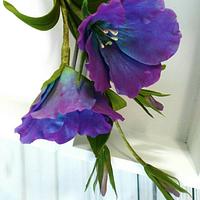 Playing with colours - free formed Eustoma ( Lisianthus) in blue and violet shades