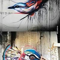 Graffitti Painted Bird