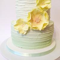 Pale green Ombre cake 