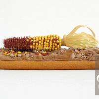 Harvest - Corn cobs