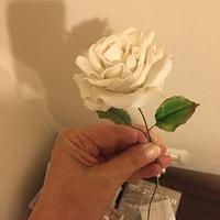 my fondant white rose rose