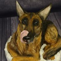 German Shepherd dog cake German Shepherd dog cake