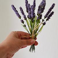 lavender lavender