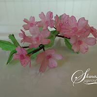 Cherry Blossom Wafer Paper Decoration 