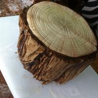  Wood effect tiered cake- for a tree surgeon