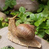 Sculpted grapewine snail - modelling chocolate 