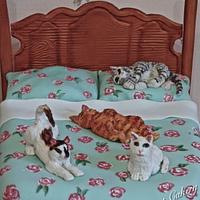 Cats on the bed