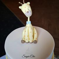 x Animal Christening Cake x 